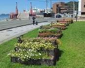 IMG_20230814_113252