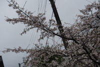 DSC09223