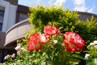 DSC00039