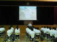 全体会 全体会