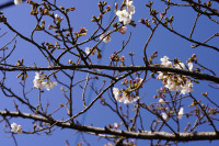 DSC09216_1