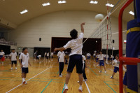 ２MA⑶
